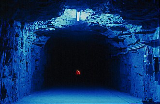 La Cour des Miracles (installation in situ)